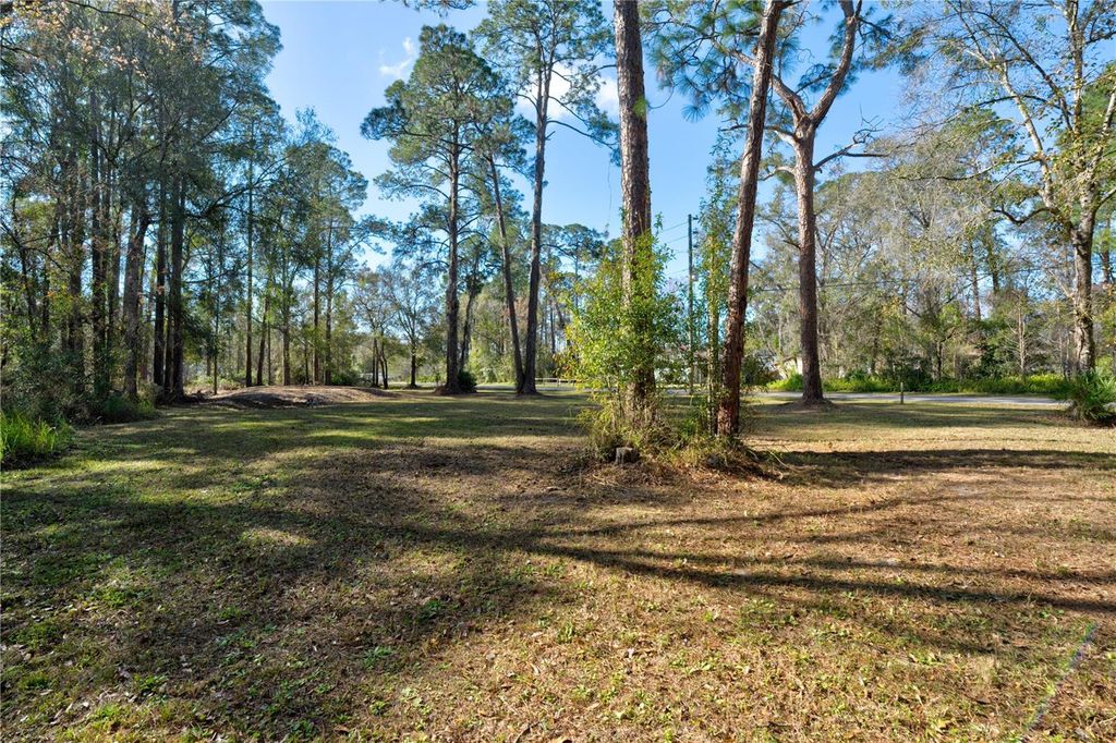 Photo of 11504 Lake Drive, New Port Richey, FL 34654 (MLS # TB8412055)
