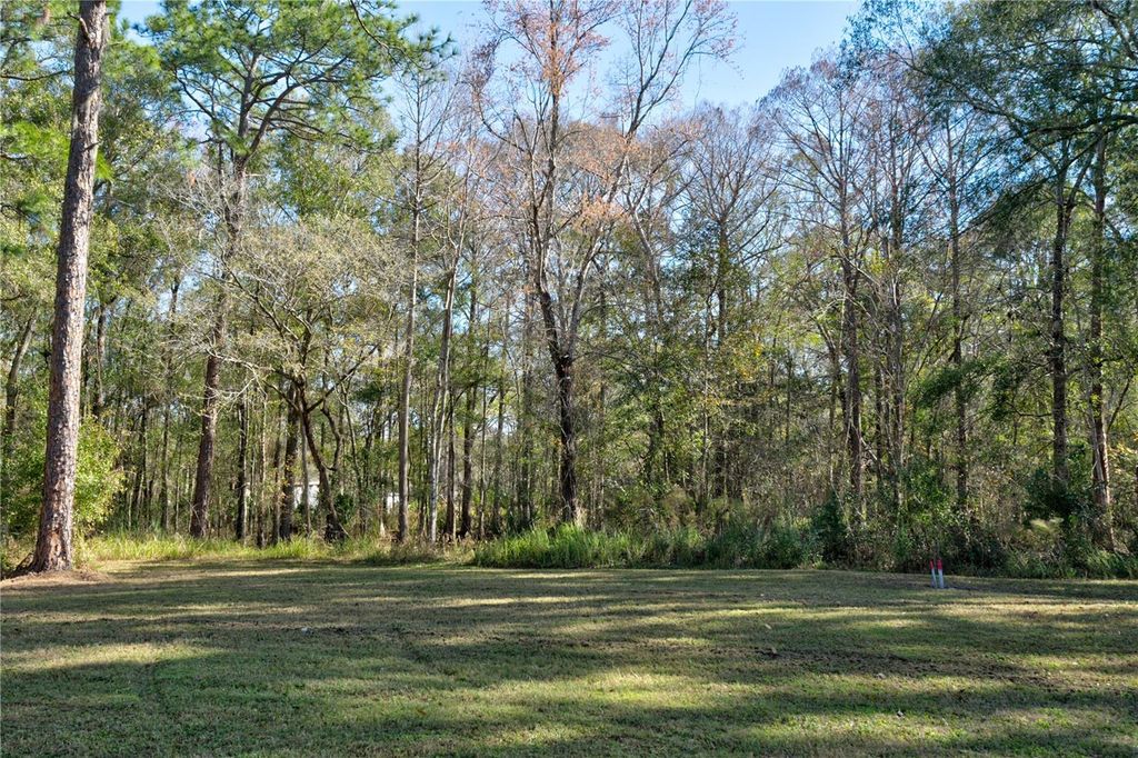 Photo of 11504 Lake Drive, New Port Richey, FL 34654 (MLS # TB8412055)