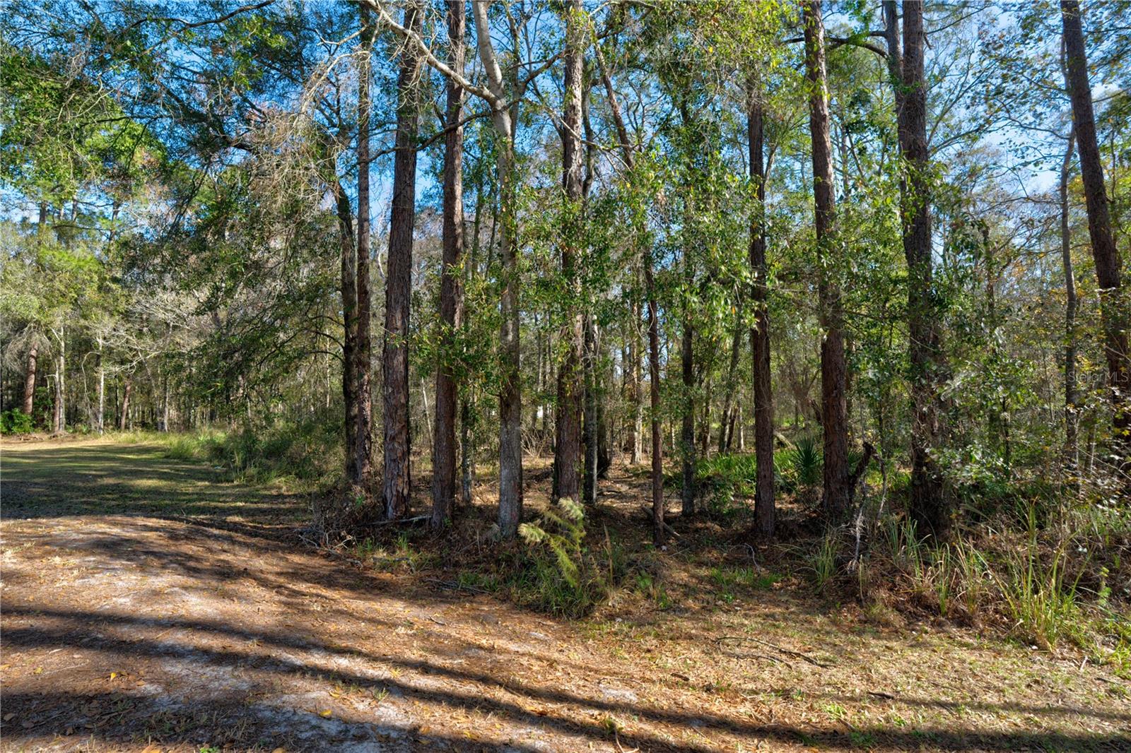 MOON LAKE ESTATES - Land