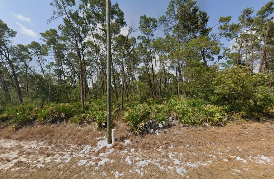 Developer Dream lot with power cable hookups on the doorstep. Publix, Walmart and the boat ramp are less than 6 miles from your door step. The community of Sebring offers the Sebring International Raceway, Citrus Golf Trail, Fishing and many other water sports.