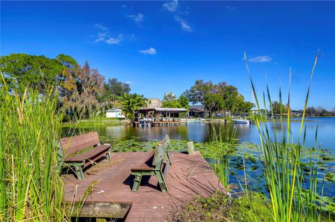 A home in LAND O LAKES