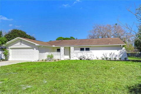 A home in LAND O LAKES