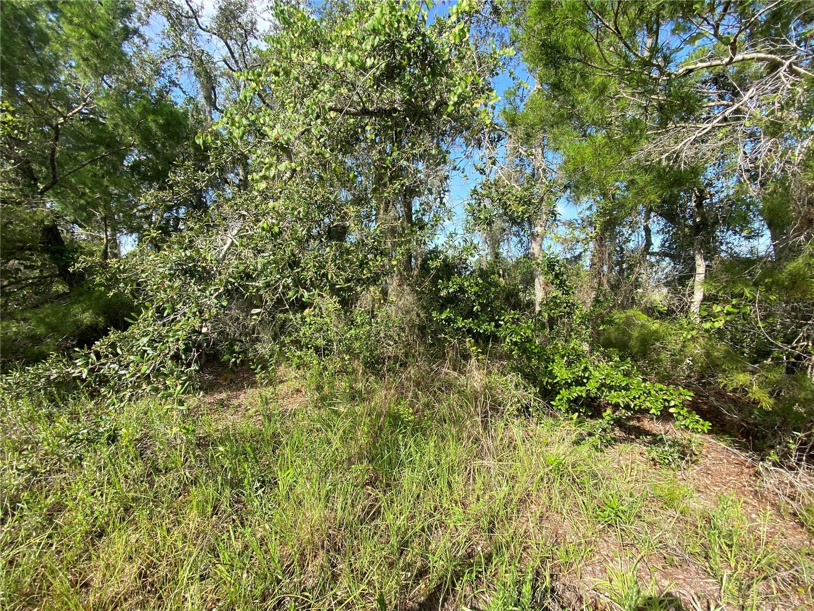 LAKE MONTAZA ESTATES SEC 7 - Land