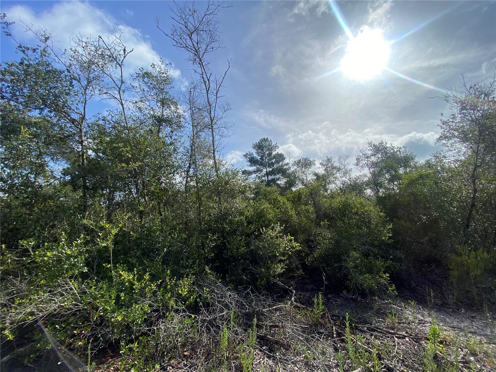 LAKE MONTAZA ESTATES SEC 7 - Land