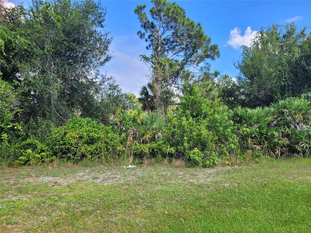 Photo of 107 Antilla Drive, Rotonda West, FL 33947 (MLS # D6144137)