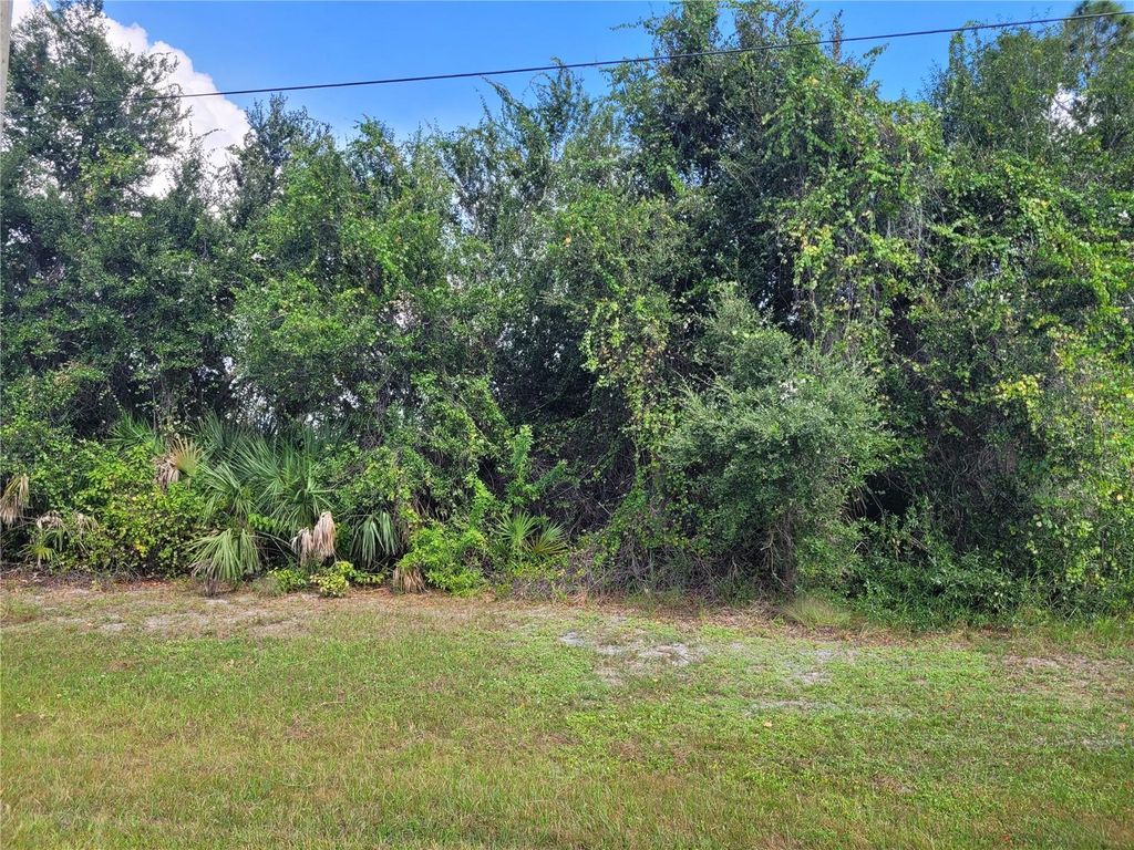 Photo of 107 Antilla Drive, Rotonda West, FL 33947 (MLS # D6144137)