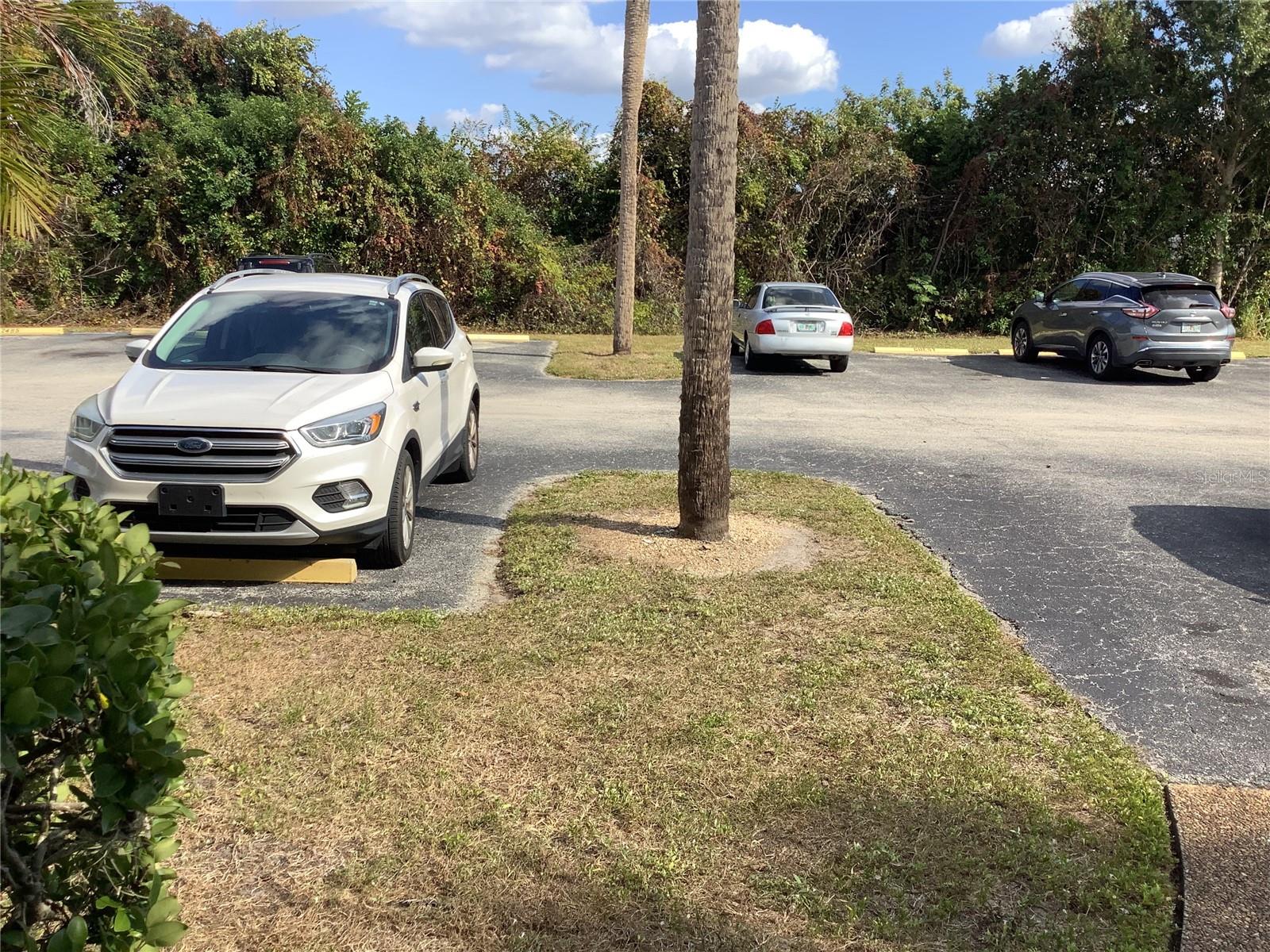 ROLLING GREEN SOUTH - Residential