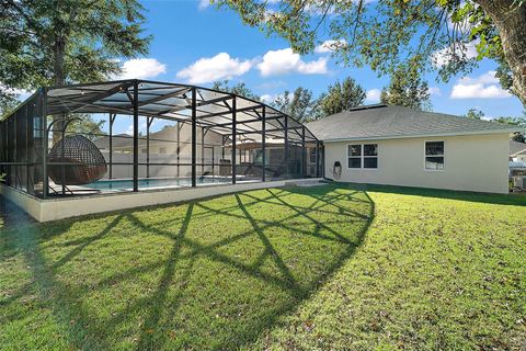 A home in MOUNT DORA