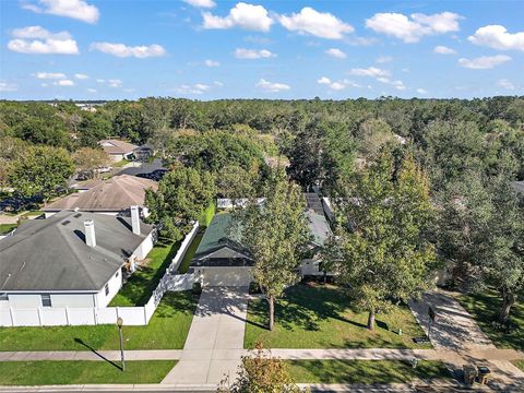 A home in MOUNT DORA