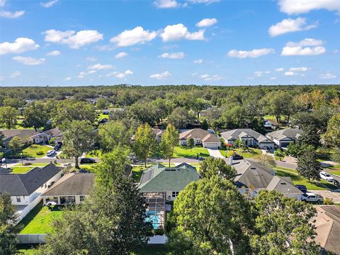 A home in MOUNT DORA