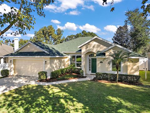 A home in MOUNT DORA