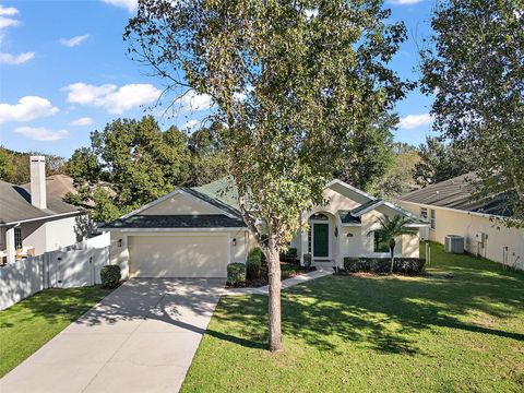 A home in MOUNT DORA