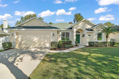 A home in MOUNT DORA