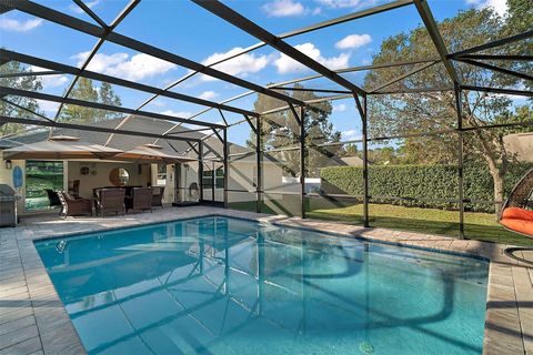 A home in MOUNT DORA