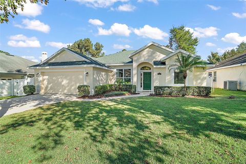 A home in MOUNT DORA