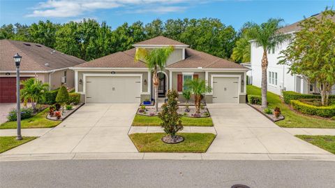 3546 WICKET FIELD ROAD LUTZ FL 33548