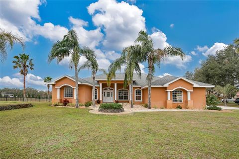 A home in PLANT CITY