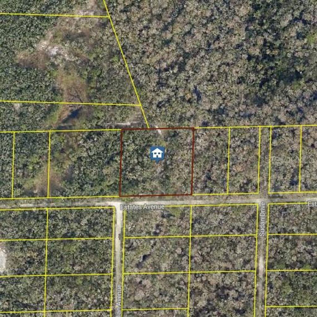 Photo of Rose Bloom Ave, Webster, FL 33597 (MLS # O6349219)
