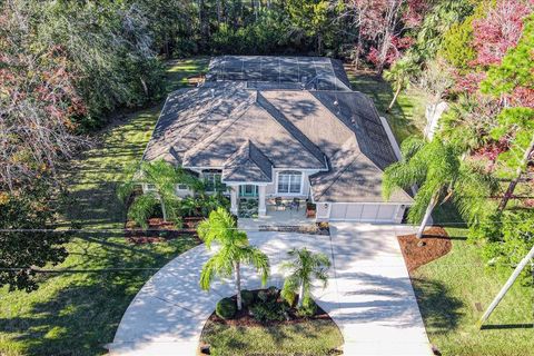 A home in PALM COAST