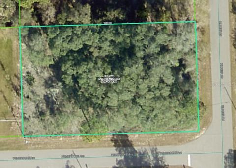Lot 4 KILDEER ROAD WEEKI WACHEE FL 34614