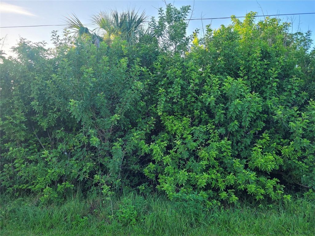 Photo of 9286 Melody Circle, Port Charlotte, FL 33981 (MLS # D6143144)