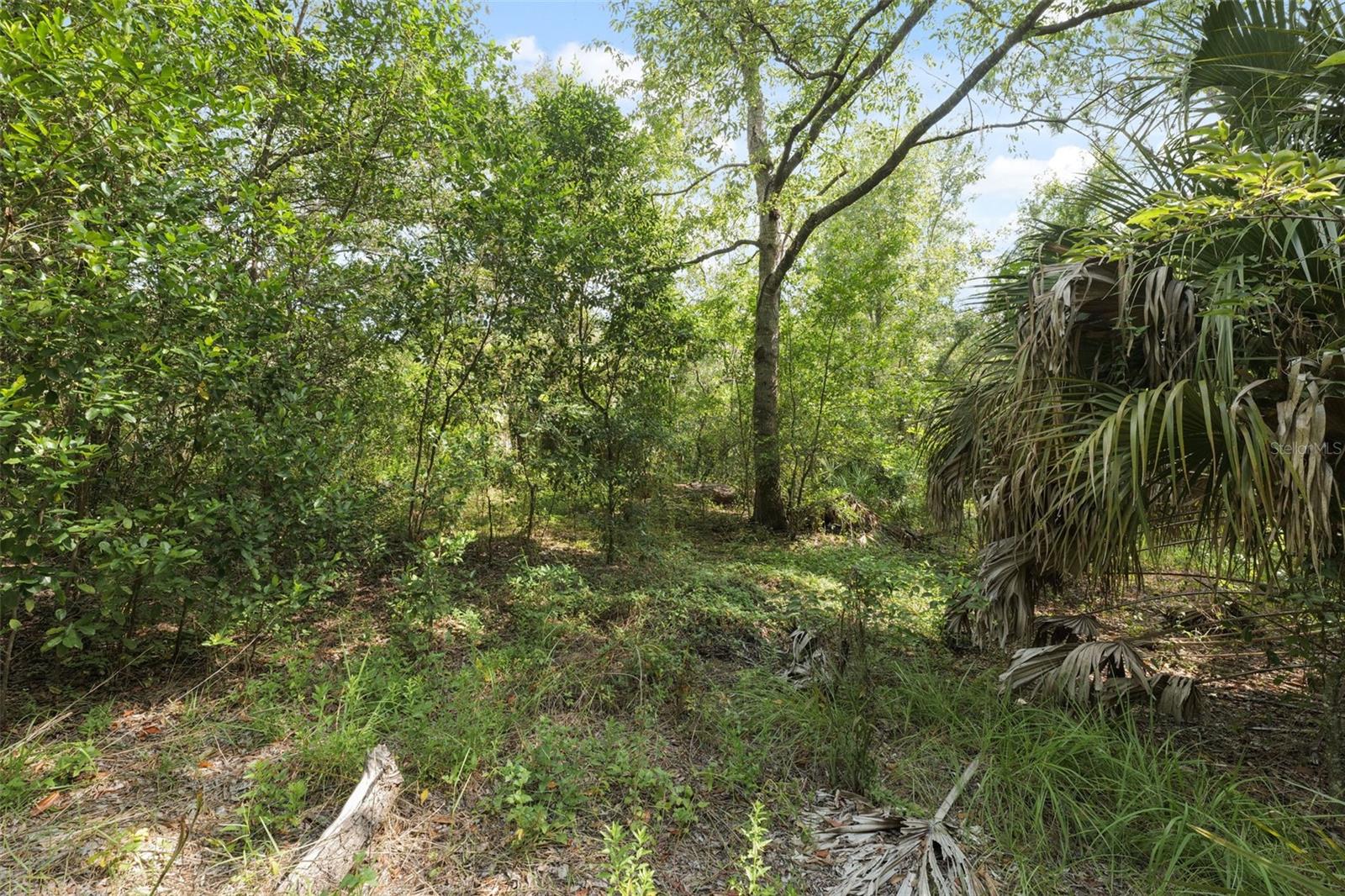 HIGHLAND LAKES - Residential