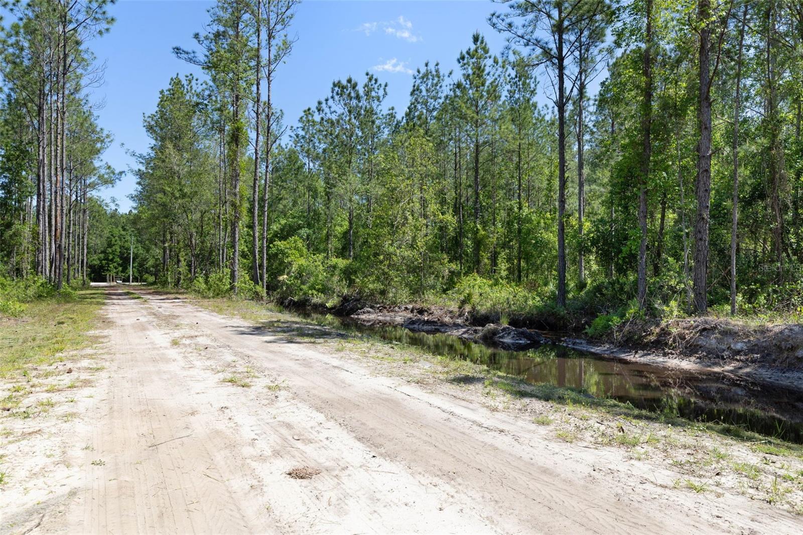 15539 COUNTY RD 305