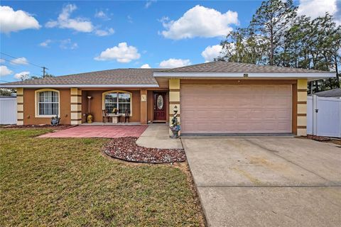 Photo of 103 Daisy Lane, Inverness, FL 34452 (MLS # TB8464399)