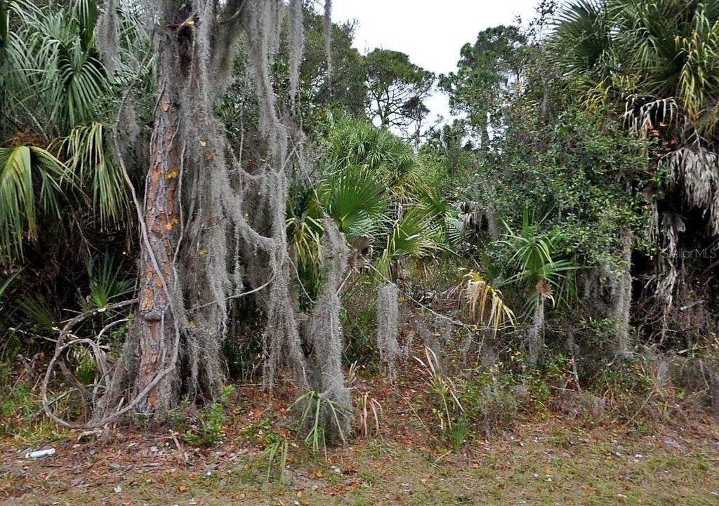 Photo of Shady Avenue, North Port, FL 34286 (MLS # S5130713)