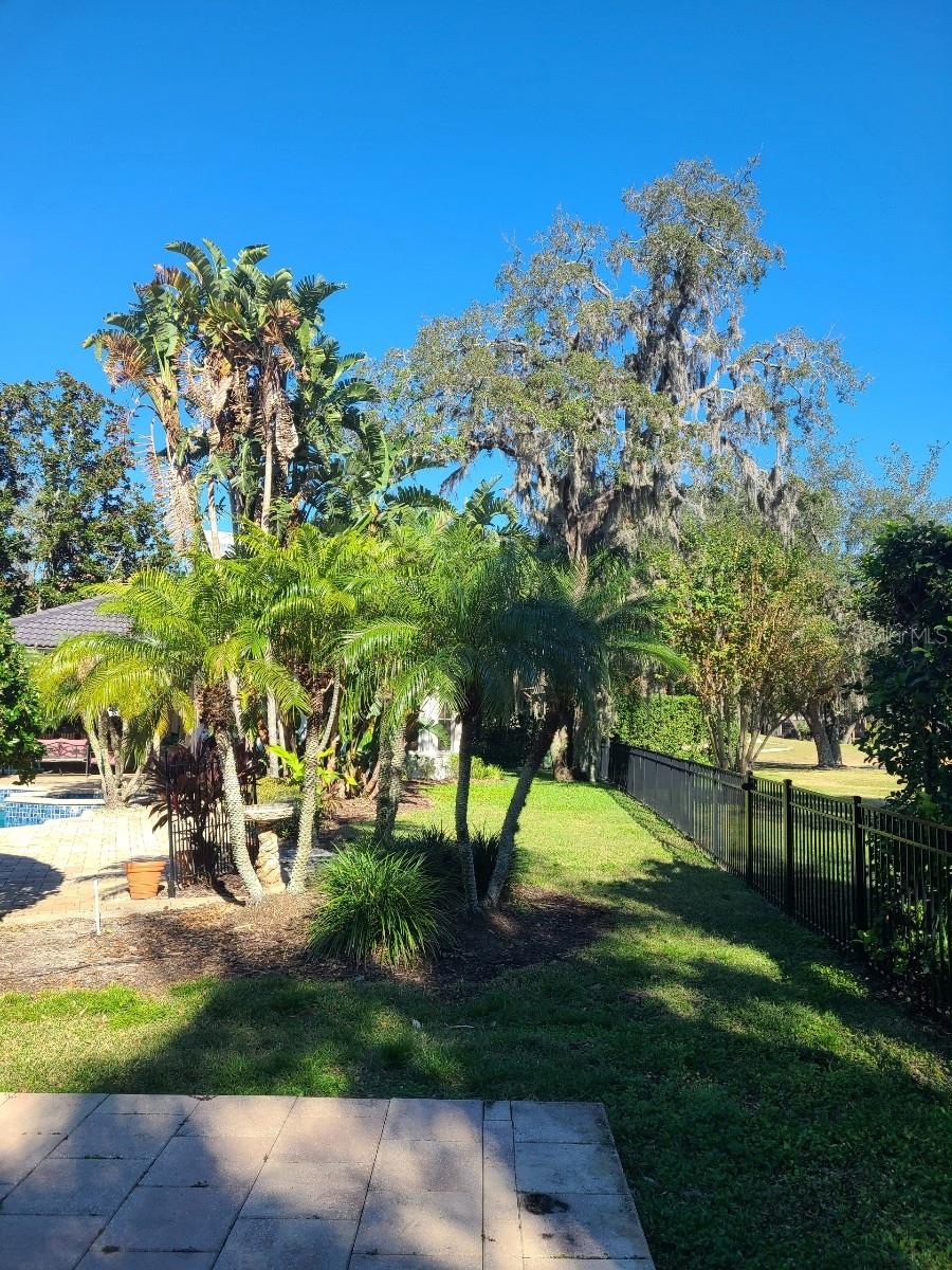 FLORESTA AT CHAMPIONS CLUB - Residential