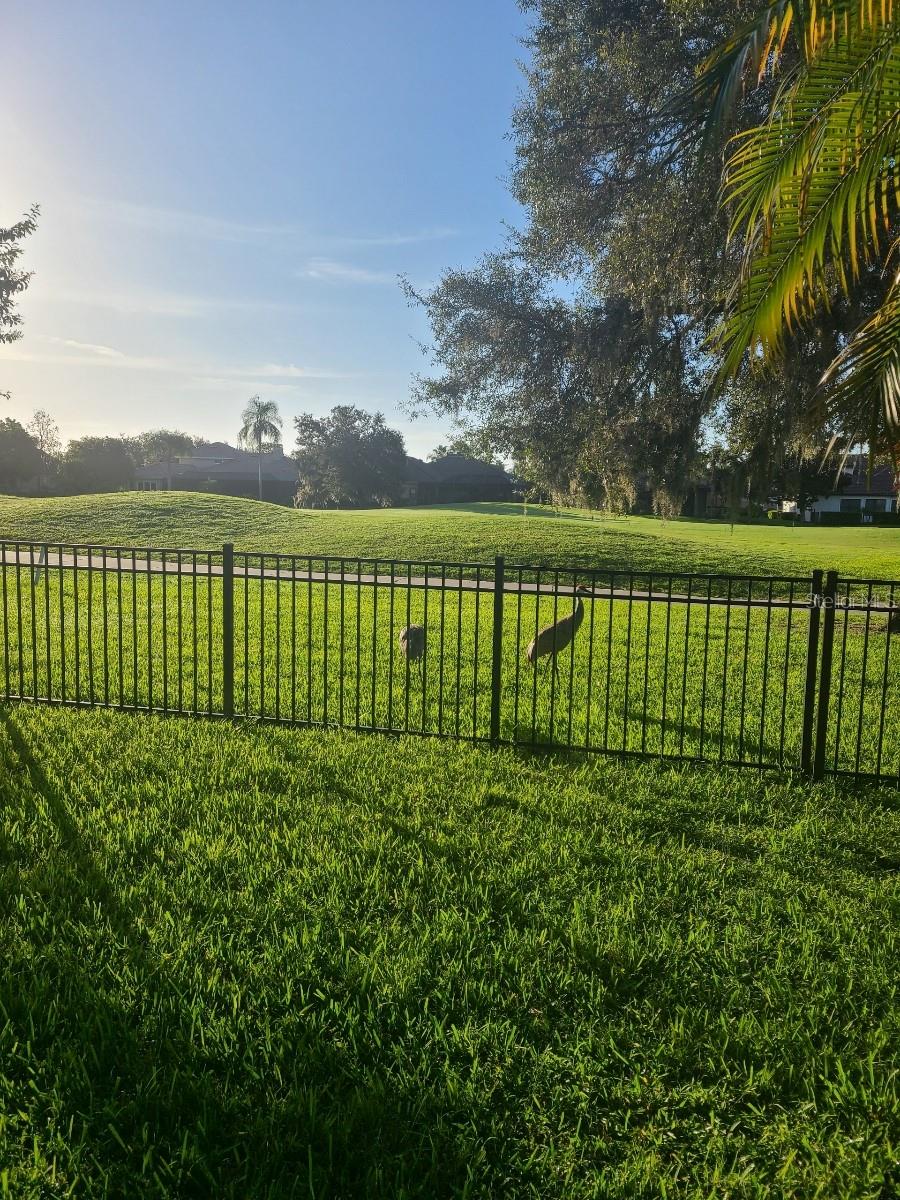 FLORESTA AT CHAMPIONS CLUB - Residential