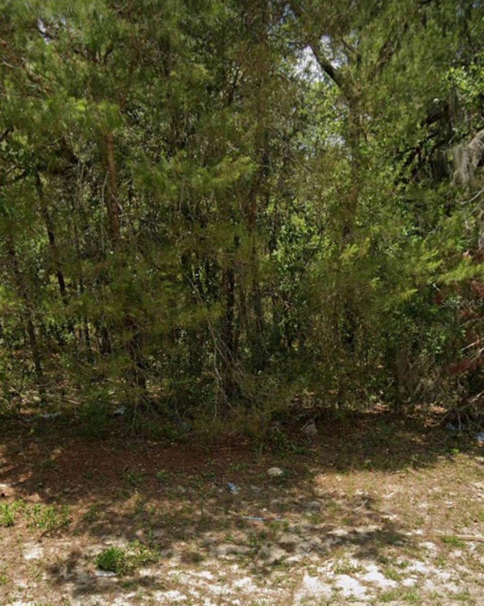 Vacant Land for Sale – Build Your Dream Home in Marion Oaks!
Discover the perfect opportunity to build your dream home on this spacious 1/4+ acre lot located in the heart of Marion Oaks, a growing and vibrant community in Marion County, Florida. Property Features:
Over 0.25 acres of buildable land
Nestled in a peaceful residential neighborhood
No HOA fees
Paved roads and nearby utilities for easy construction
Zoned for single-family homes Prime Location: Close to shopping, schools, and dining
Easy access to I-75 for commuting to Ocala and beyond
Enjoy Florida living with nearby parks, golf courses, and nature trails
Whether you're a homeowner looking to build or an investor seeking a valuable property in a growing area, this lot is a rare find at a great price. There are several new homes built around the area in the last few months. A New 4 bedrooms and 2 bathrooms home with over 2200 sqft living space was recently built on similar size lot across from this lot.