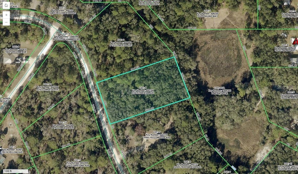 Photo of 10497 Yellowlegs Avenue, Weeki Wachee, FL 34614 (MLS # TB8557779)