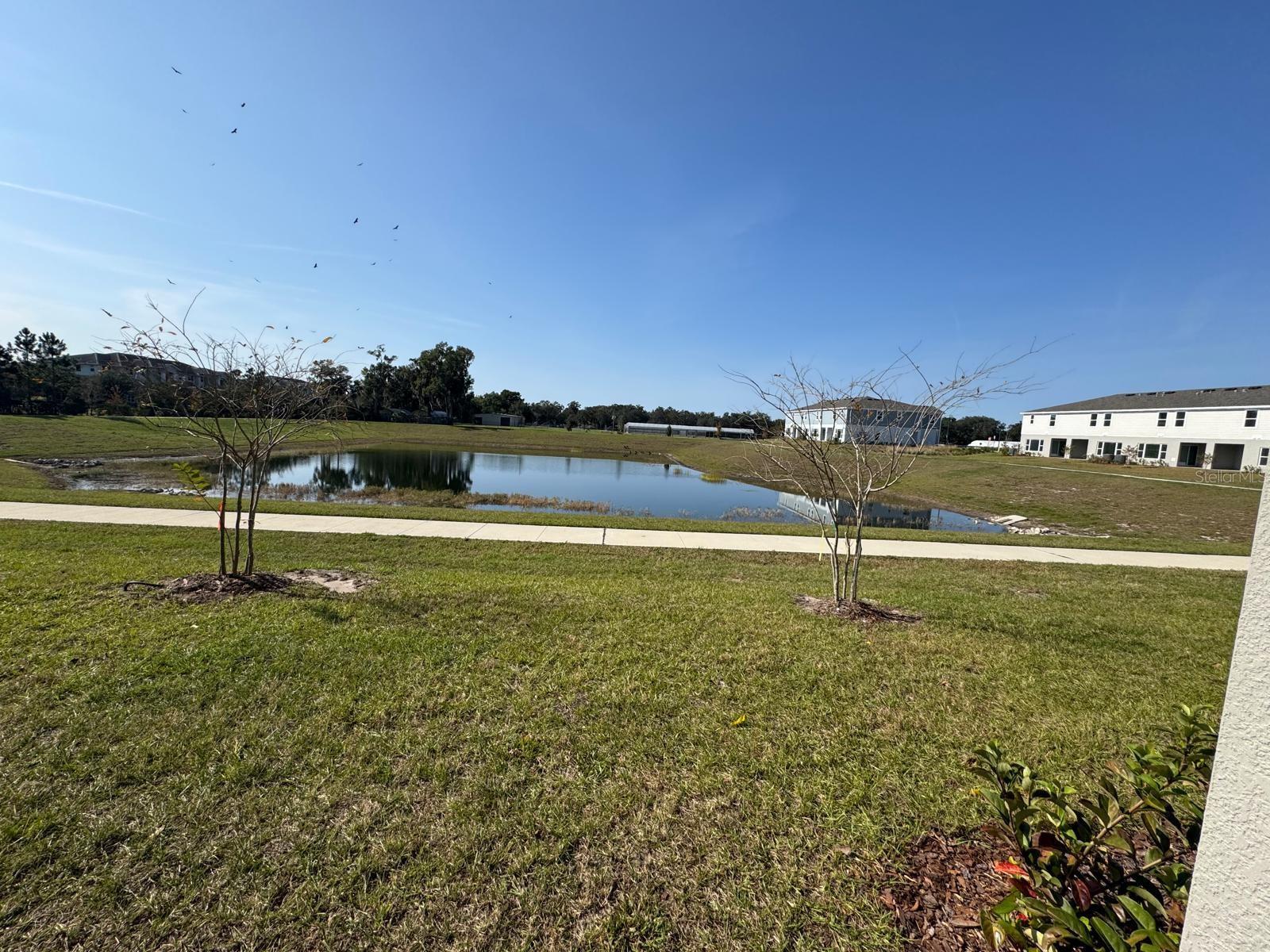 THOMPSON VILLAGE - Residential Lease