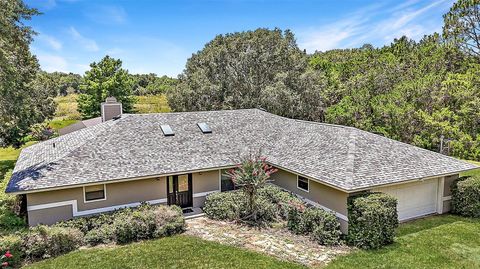 Tiny photo for 26200 SE Highway 42, Umatilla, FL 32784 (MLS # OM700017)