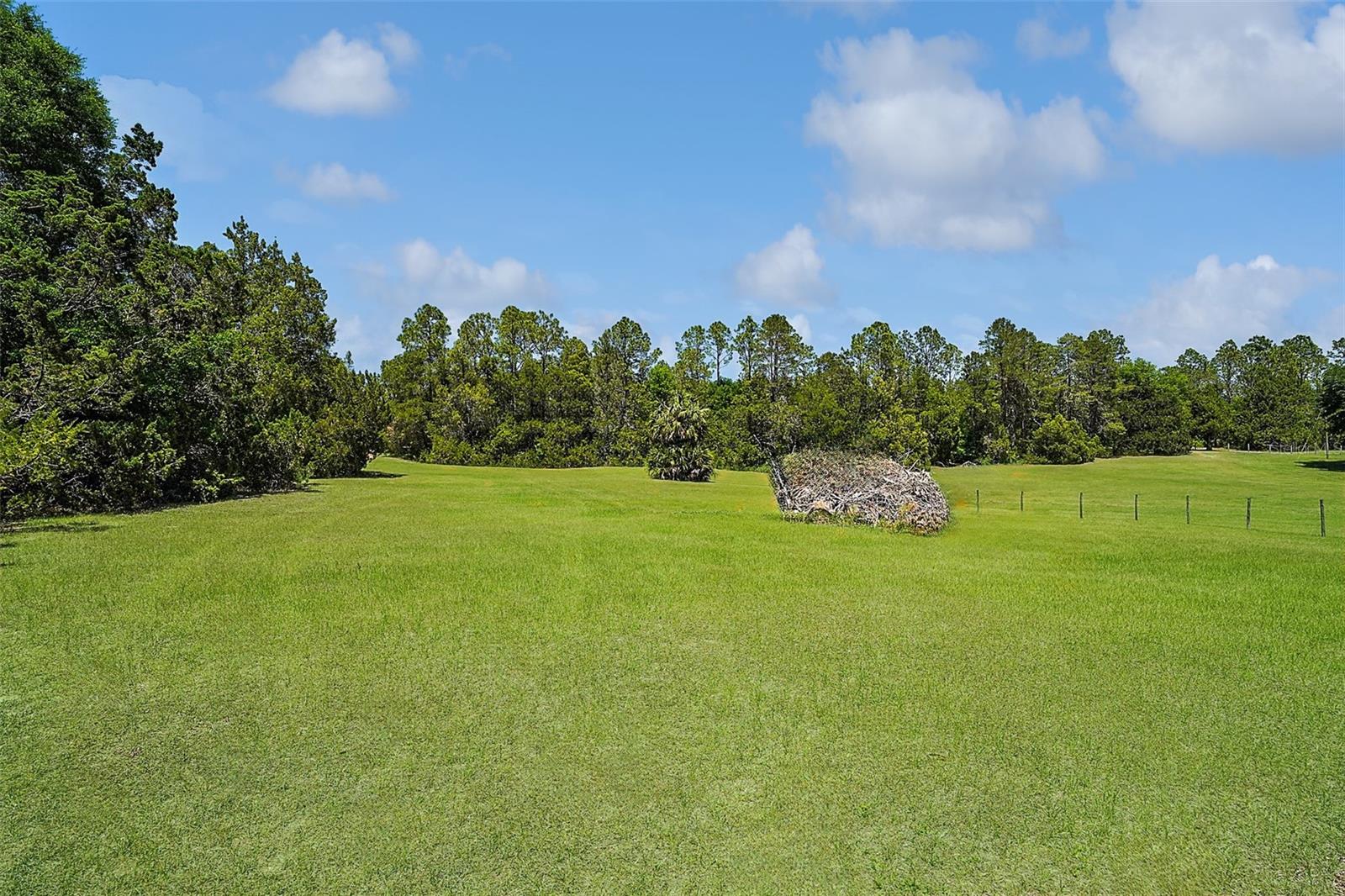 LAKE ELLA - Residential