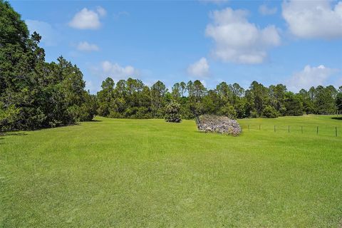 Tiny photo for 26200 SE Highway 42, Umatilla, FL 32784 (MLS # OM700017)