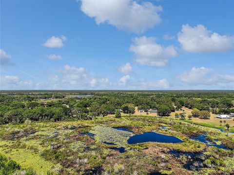 Tiny photo for 26200 SE Highway 42, Umatilla, FL 32784 (MLS # OM700017)