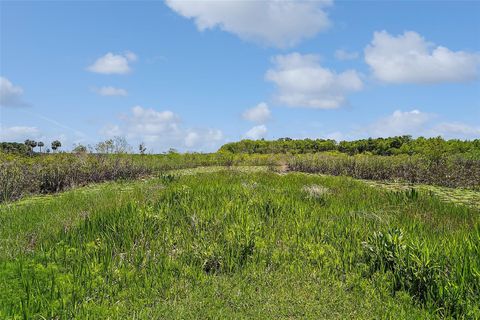 Tiny photo for 26200 SE Highway 42, Umatilla, FL 32784 (MLS # OM700017)