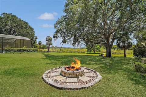 Tiny photo for 26200 SE Highway 42, Umatilla, FL 32784 (MLS # OM700017)