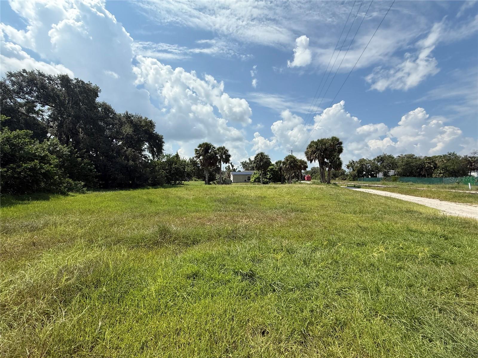 PRIME MIXED-USE OPPORTUNITY | 0.44 Acres | Cleared & Ready to Build | RT Zoning - Exceptional investment opportunity near downtown Eustis! This cleared, nearly half-acre parcel offers incredible versatility with Residential/Office Transitional zoning. Permitted uses include single-family and multi-family residential, professional offices, daycare centers, churches, schools, nursing homes, bed & breakfast establishments, and live-work units. Additional conditional uses (subject to City Commission approval) include retail sales, restaurants, convenience stores, and various commercial services. The cleared, development-ready land eliminates demolition costs while providing maximum flexibility for mixed-use developments, making this an ideal investment for those seeking multiple revenue streams in one of Central Florida’s most desirable growing communities.