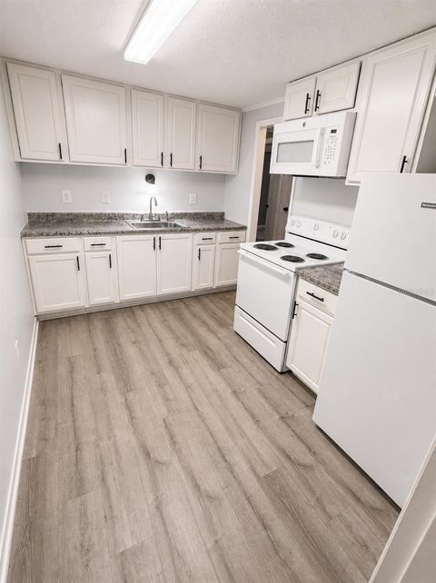 Tiny photo for 420 Mills Street #38, Leesburg, FL 34748 (MLS # OM728169)