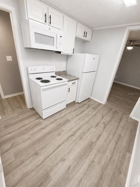 Tiny photo for 420 Mills Street #38, Leesburg, FL 34748 (MLS # OM728169)