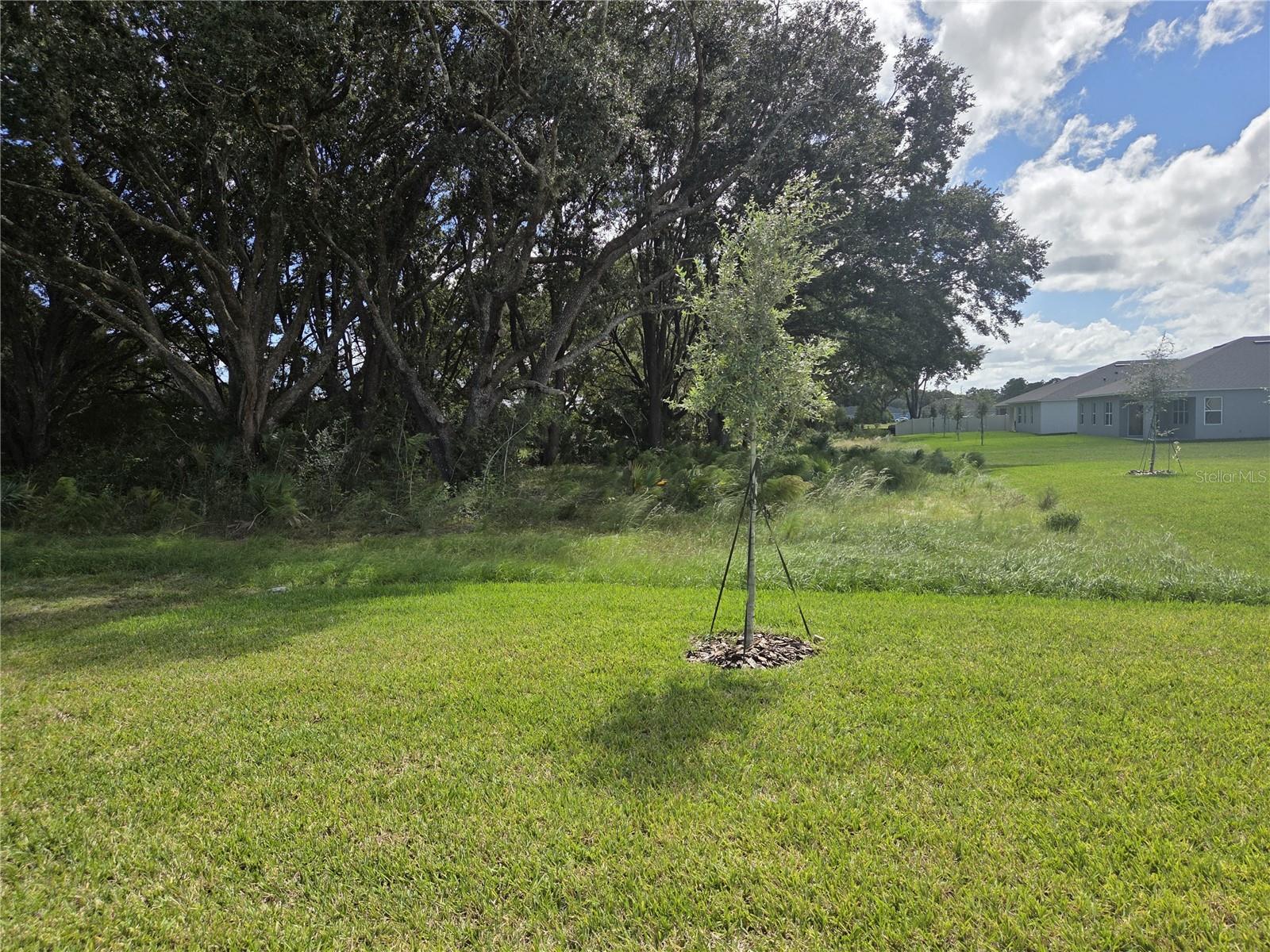 2402 DAWSON CAMP