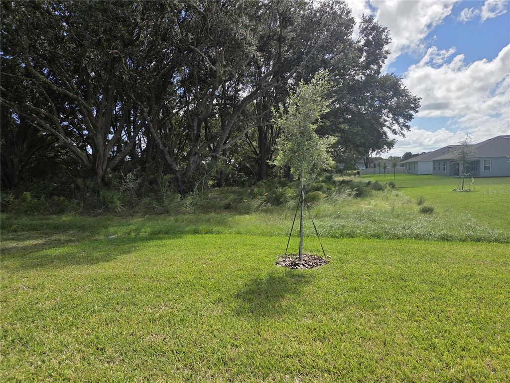 Photo of 2402 Dawson Camp, Ormond Beach, FL 32174 (MLS # O6353056)