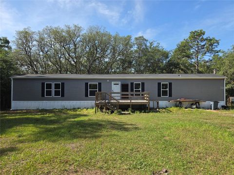 Photo of 624 E Winnetka Street, Hernando, FL 34442 (MLS # OM724200)