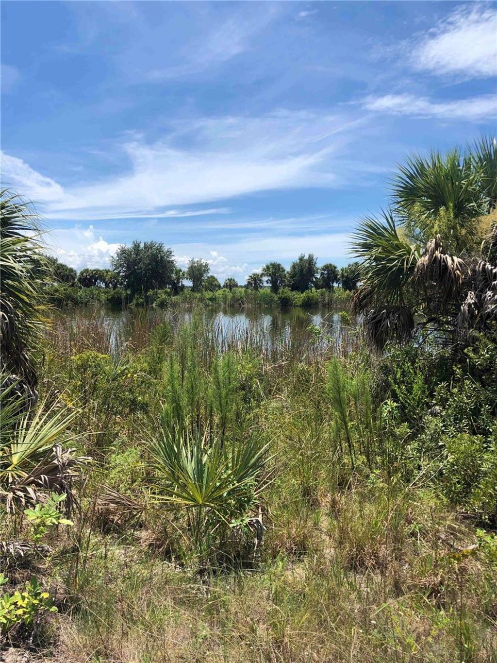 Photo of 13257 Longville Avenue, Port Charlotte, FL 33981 (MLS # D6133610)