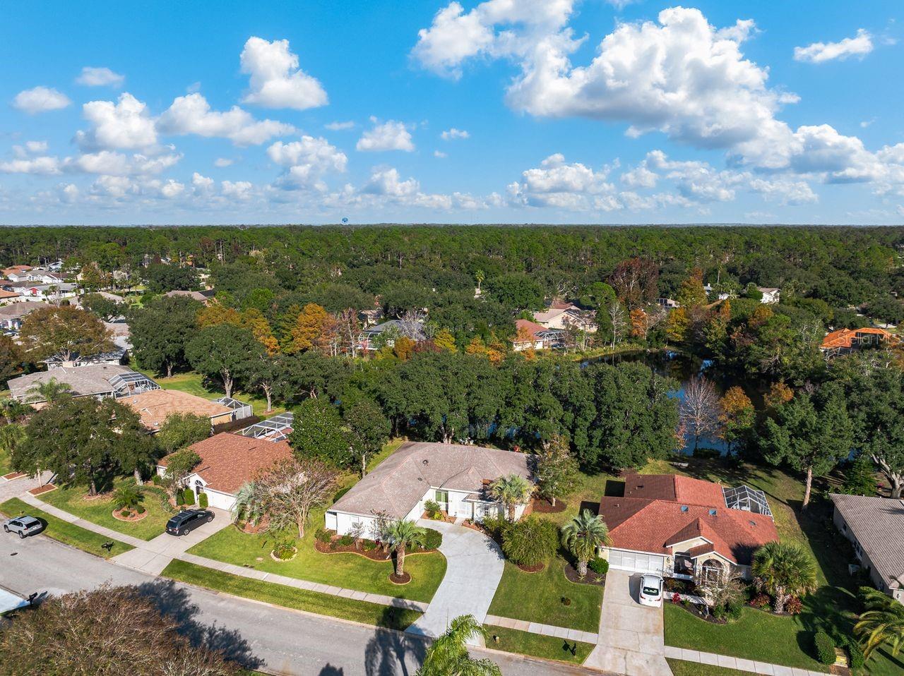 THE HAMPTONS - Residential