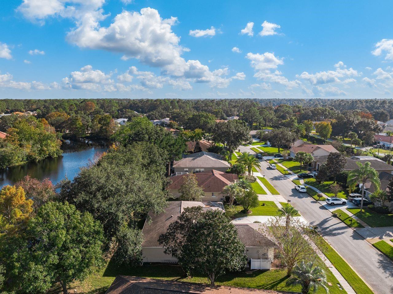 THE HAMPTONS - Residential