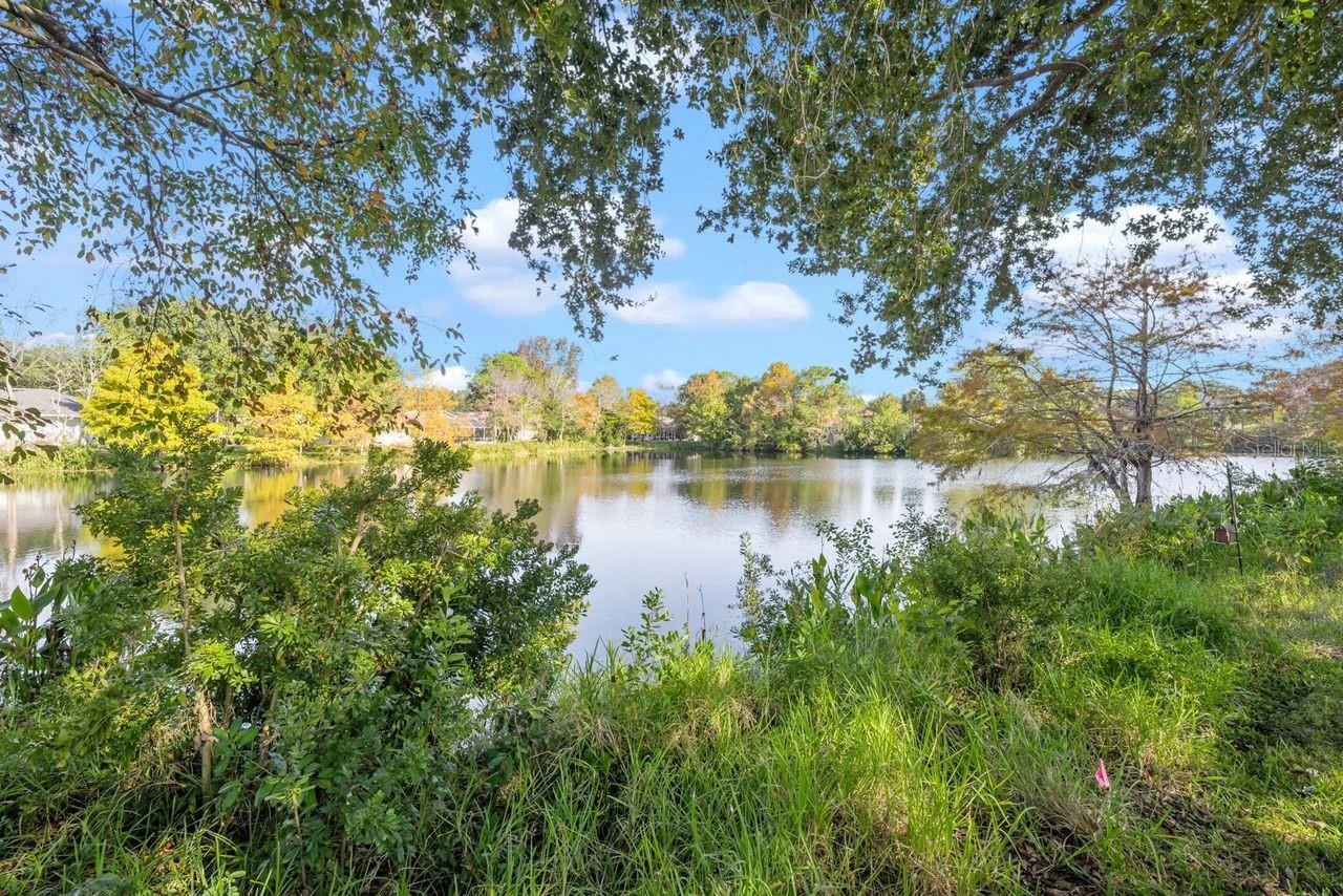 THE HAMPTONS - Residential